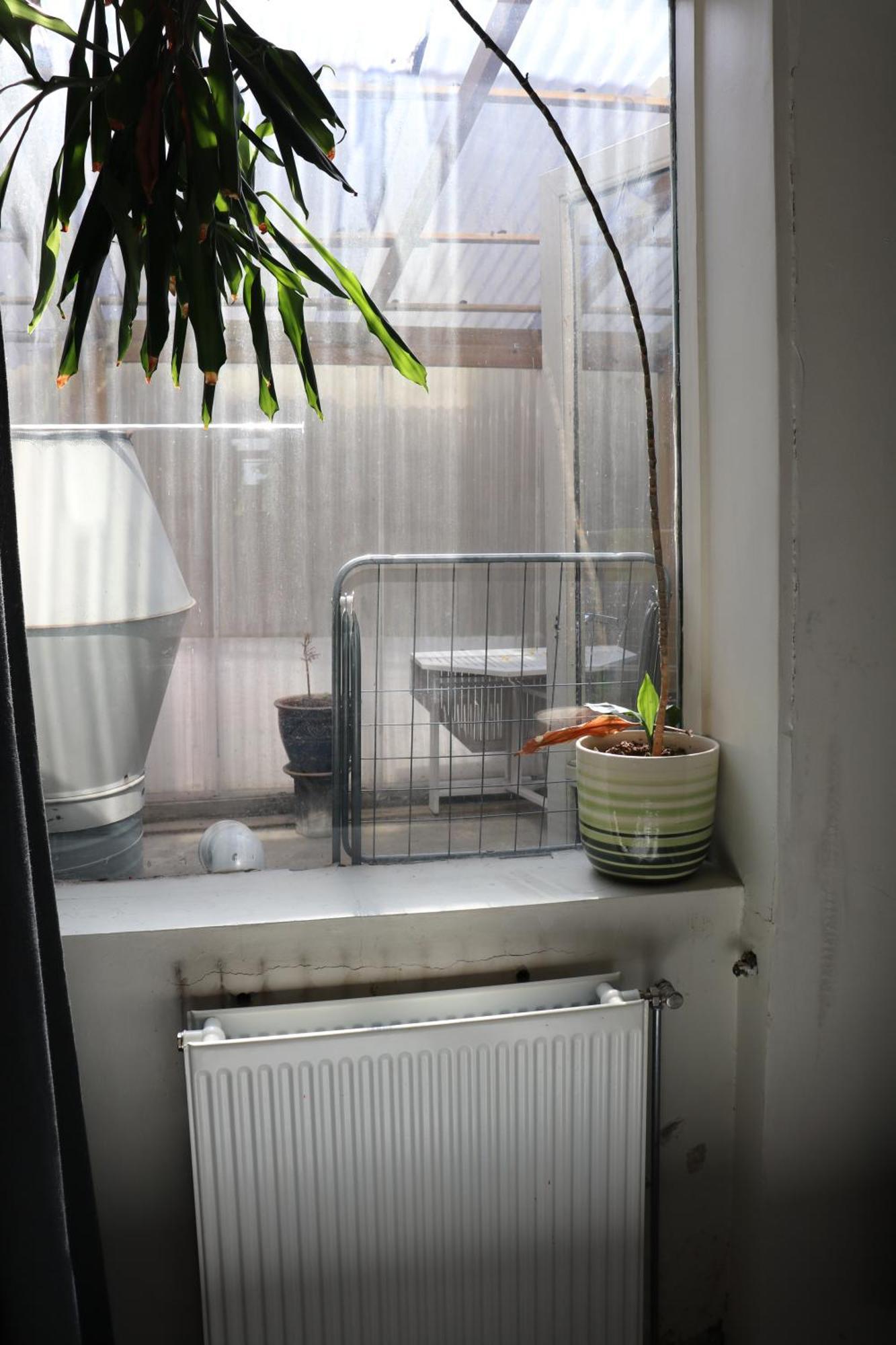 Reykjavik Antique Rentals Kültér fotó